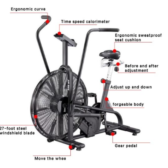 Commercial Air Bike