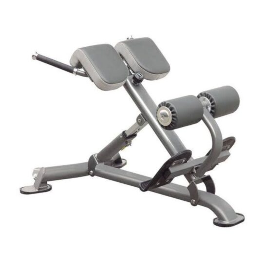 Hyper Extension Bench/Roman chair