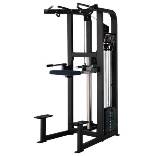 Hammer strength dip chin assist