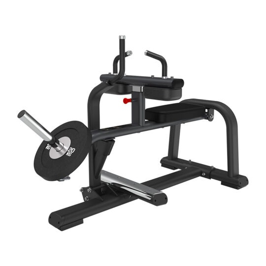 Seated Calf Raise Bench